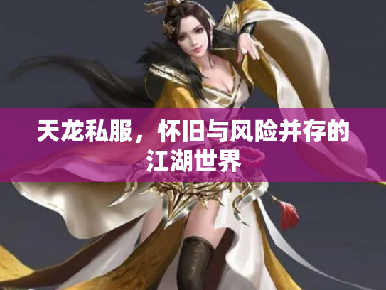 天龙私服，怀旧与风险并存的江湖世界
