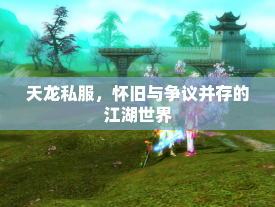 天龙私服，怀旧与争议并存的江湖世界