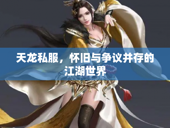 天龙私服，怀旧与争议并存的江湖世界