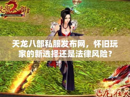天龙八部私服发布网，怀旧玩家的新选择还是法律风险？
