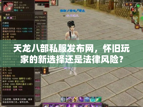 天龙八部私服发布网，怀旧玩家的新选择还是法律风险？