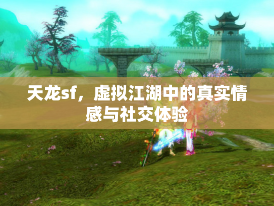 天龙sf，虚拟江湖中的真实情感与社交体验