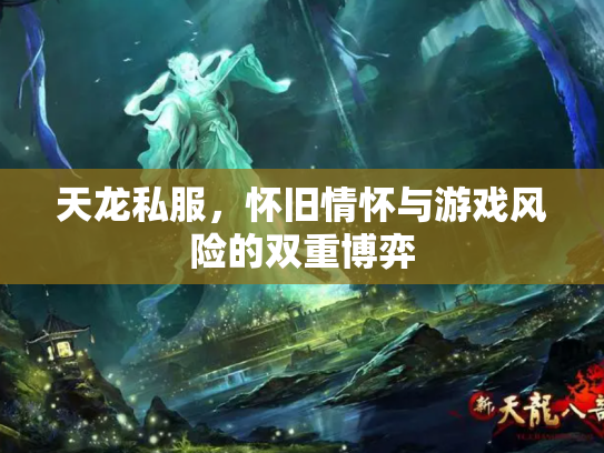 天龙私服，怀旧情怀与游戏风险的双重博弈