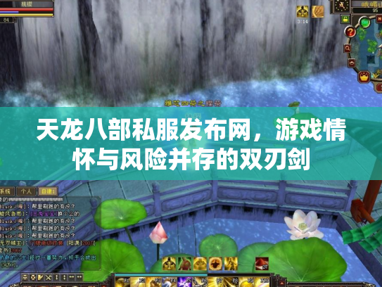 天龙八部私服发布网，游戏情怀与风险并存的双刃剑