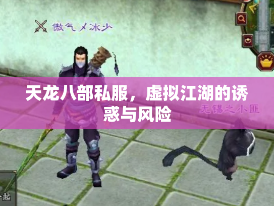 天龙八部私服，虚拟江湖的诱惑与风险
