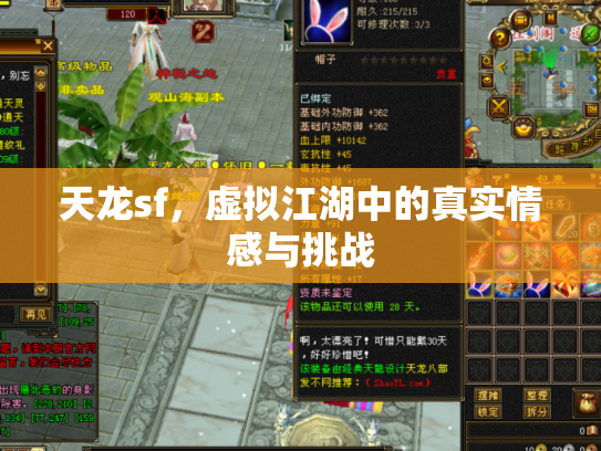 天龙sf，虚拟江湖中的真实情感与挑战