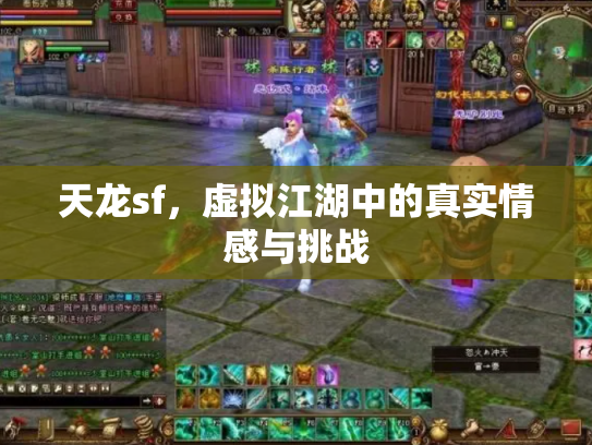 天龙sf，虚拟江湖中的真实情感与挑战