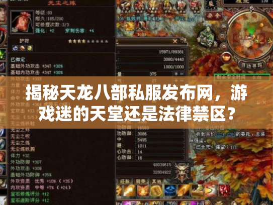 揭秘天龙八部私服发布网，游戏迷的天堂还是法律禁区？