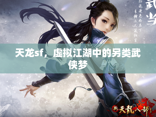 天龙sf，虚拟江湖中的另类武侠梦