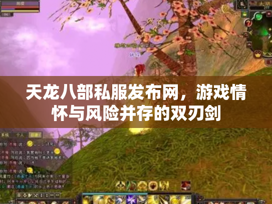 天龙八部私服发布网，游戏情怀与风险并存的双刃剑