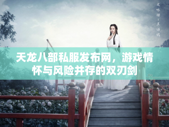 天龙八部私服发布网，游戏情怀与风险并存的双刃剑