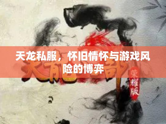 天龙私服，怀旧情怀与游戏风险的博弈