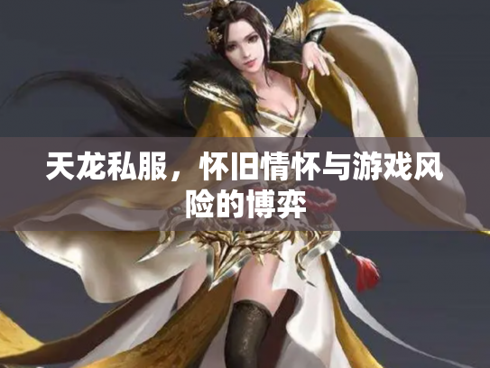 天龙私服，怀旧情怀与游戏风险的博弈