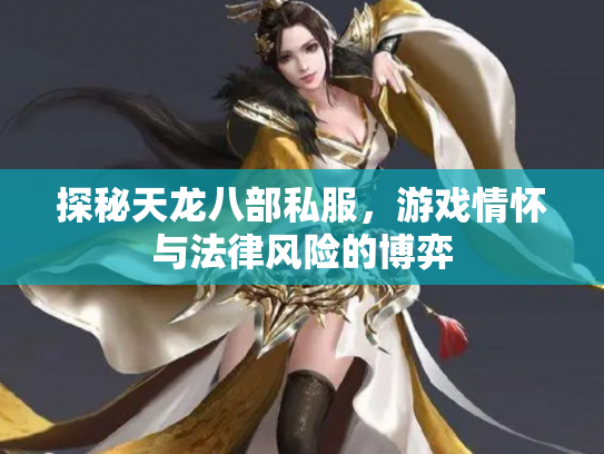 探秘天龙八部私服，游戏情怀与法律风险的博弈