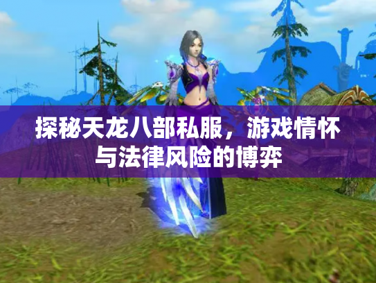 探秘天龙八部私服，游戏情怀与法律风险的博弈