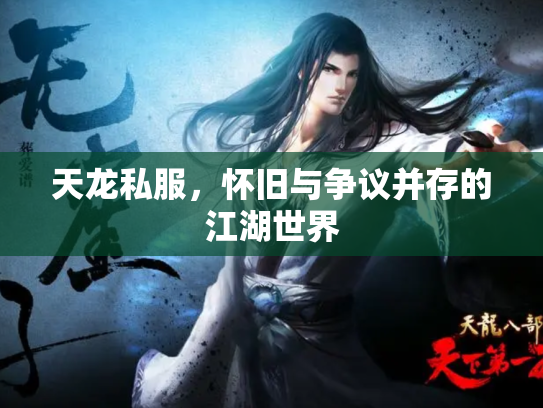 天龙私服，怀旧与争议并存的江湖世界
