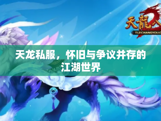 天龙私服，怀旧与争议并存的江湖世界
