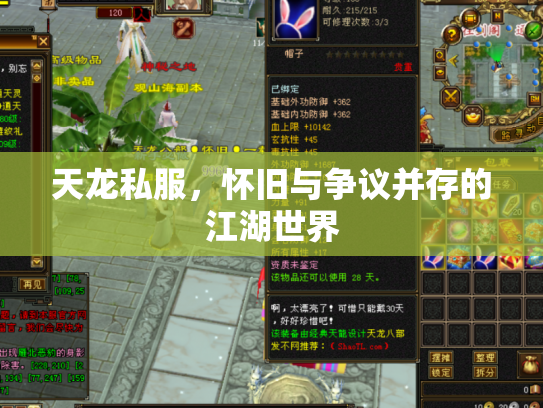 天龙私服，怀旧与争议并存的江湖世界