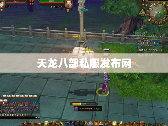 天龙八部私服发布网