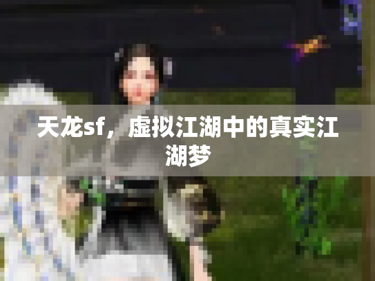 天龙sf，虚拟江湖中的真实江湖梦