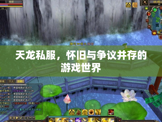 天龙私服，怀旧与争议并存的游戏世界