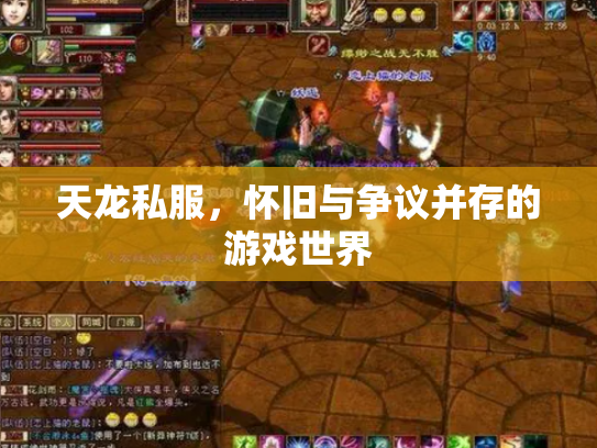 天龙私服，怀旧与争议并存的游戏世界
