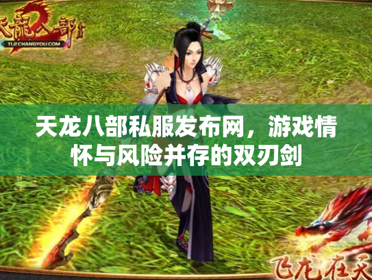 天龙八部私服发布网，游戏情怀与风险并存的双刃剑
