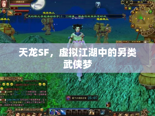 天龙SF，虚拟江湖中的另类武侠梦