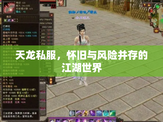 天龙私服，怀旧与风险并存的江湖世界