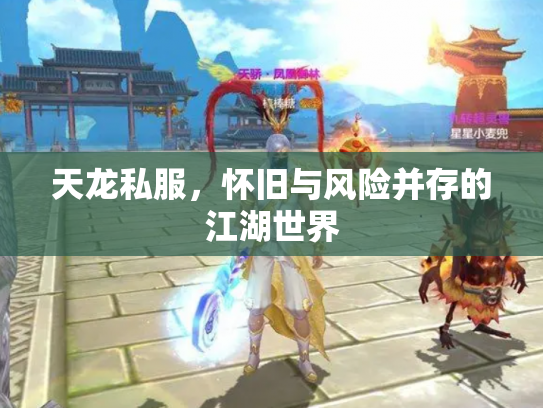 天龙私服，怀旧与风险并存的江湖世界