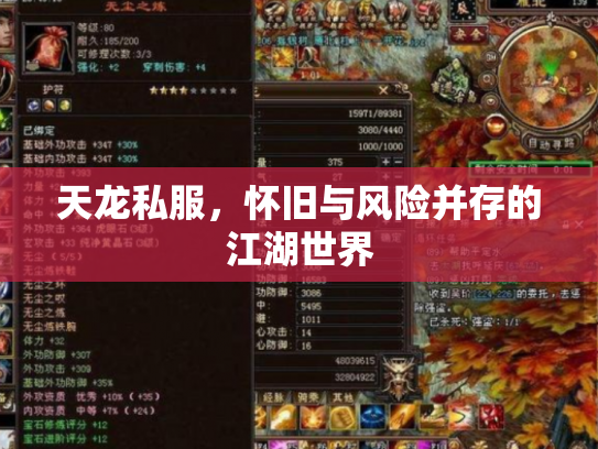 天龙私服，怀旧与风险并存的江湖世界