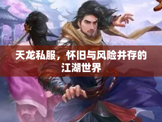 天龙私服，怀旧与风险并存的江湖世界