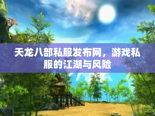天龙八部私服发布网，游戏私服的江湖与风险