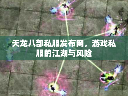 天龙八部私服发布网，游戏私服的江湖与风险