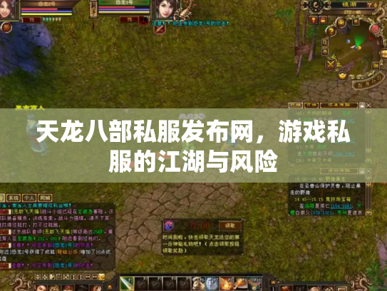 天龙八部私服发布网，游戏私服的江湖与风险