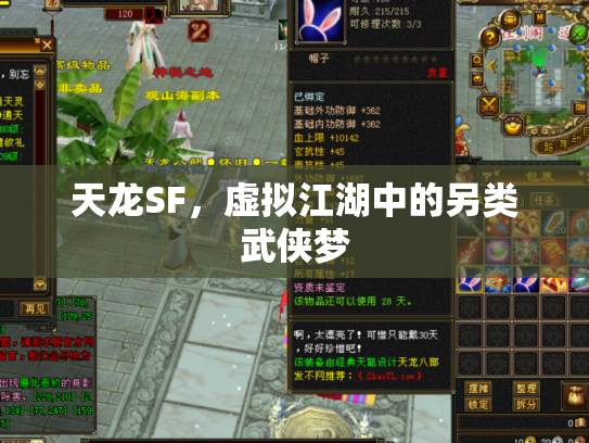 天龙SF，虚拟江湖中的另类武侠梦