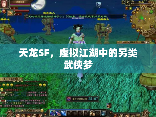 天龙SF，虚拟江湖中的另类武侠梦