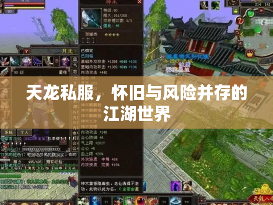 天龙私服，怀旧与风险并存的江湖世界