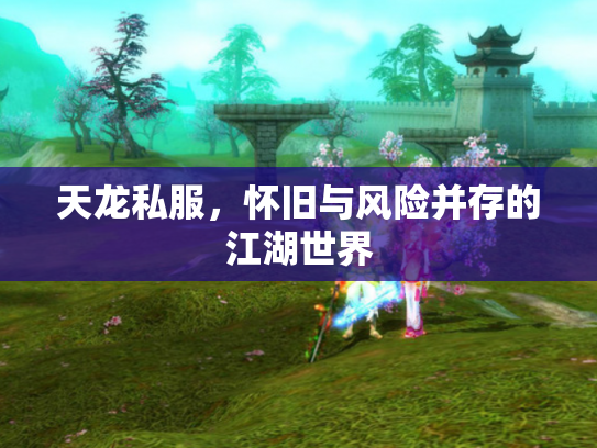 天龙私服，怀旧与风险并存的江湖世界