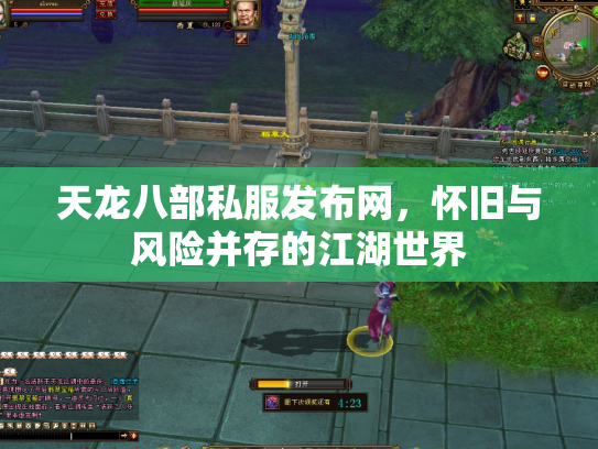 天龙八部私服发布网，怀旧与风险并存的江湖世界