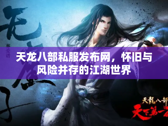 天龙八部私服发布网，怀旧与风险并存的江湖世界