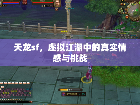 天龙sf，虚拟江湖中的真实情感与挑战