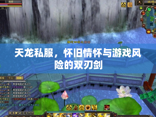天龙私服，怀旧情怀与游戏风险的双刃剑