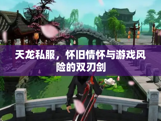 天龙私服，怀旧情怀与游戏风险的双刃剑