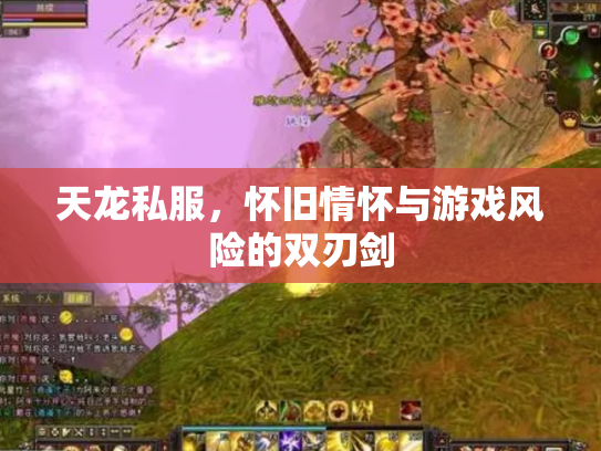 天龙私服，怀旧情怀与游戏风险的双刃剑