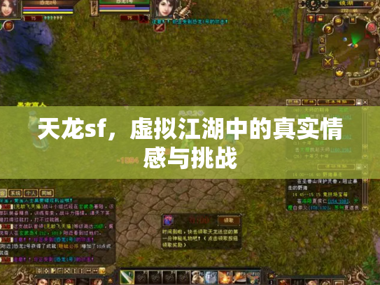 天龙sf，虚拟江湖中的真实情感与挑战