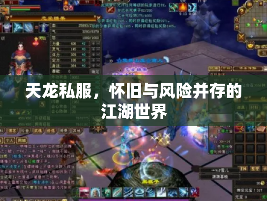 天龙私服，怀旧与风险并存的江湖世界