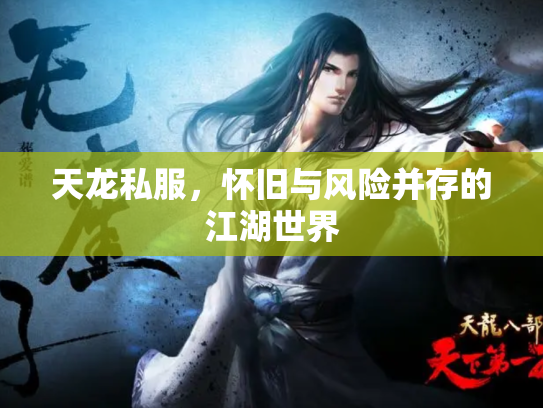 天龙私服，怀旧与风险并存的江湖世界