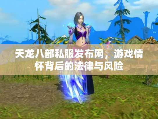 天龙八部私服发布网，游戏情怀背后的法律与风险