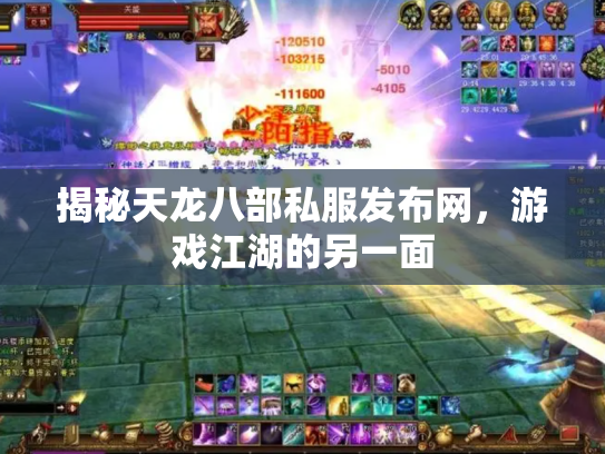 揭秘天龙八部私服发布网，游戏江湖的另一面